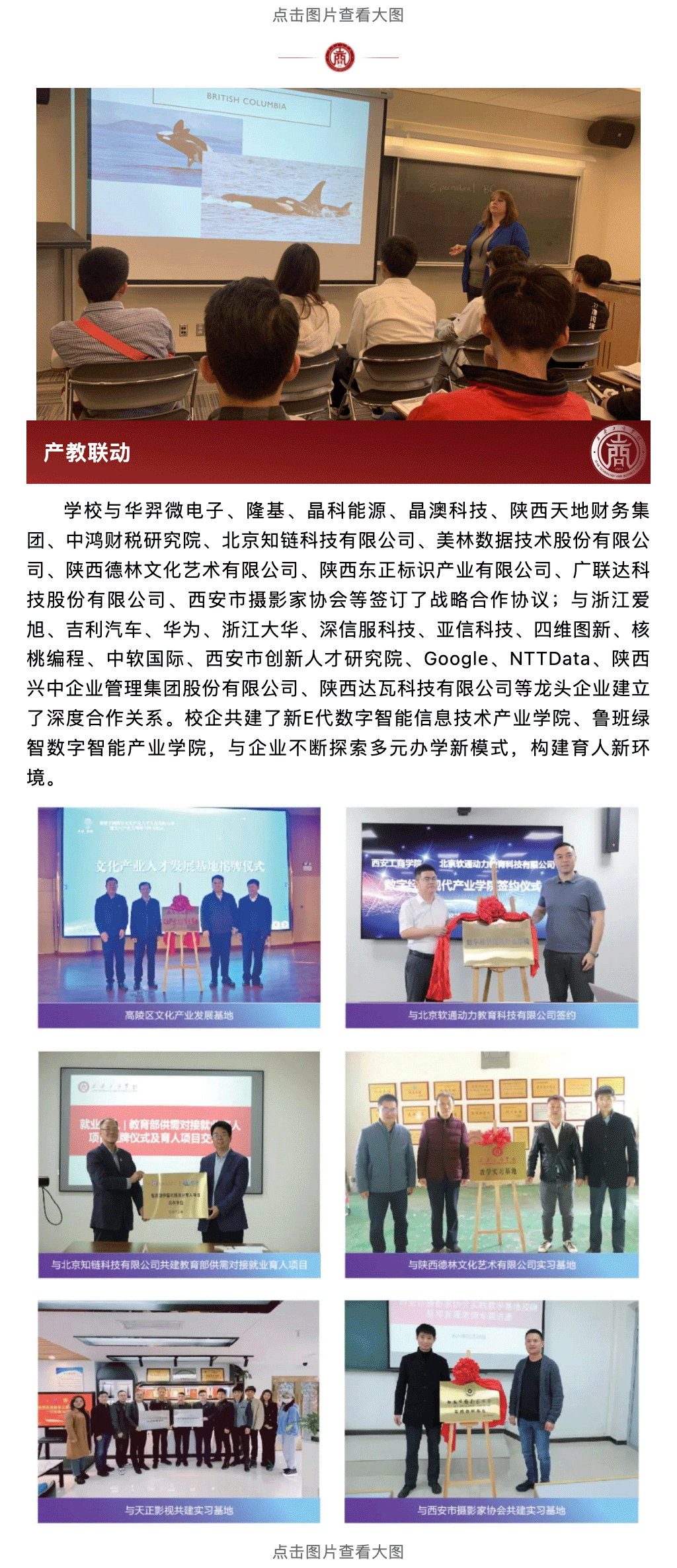 _0007_图层-9.png